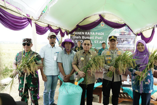 Bupati Dorong Petani Pati Hasilkan Padi 10 Ton/Hektar 