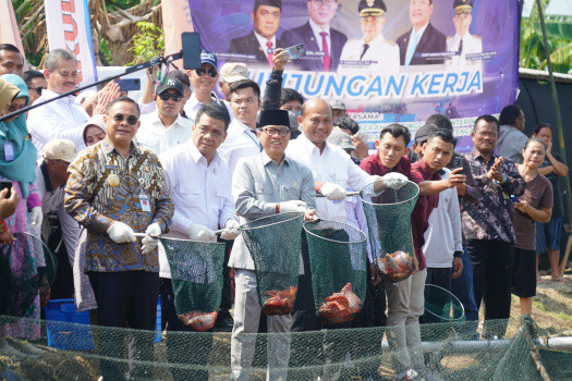 Dilirik Mendes PDT dan Dirjen KKP, Nila Salin Pati Berpotensi Terbang ke Jeddah 