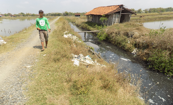 Limbah Pabrik Gula Masuk di Area Tambak Petani Garam